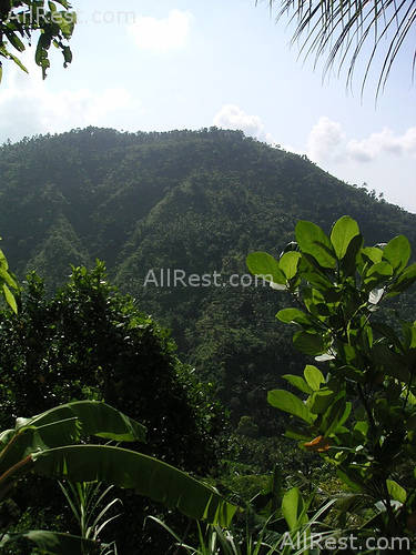 ALiLa Manggis boutique 19